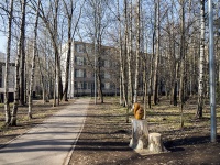 Калининский район, школа Средняя общеобразовательная школа №72 с углубленным изучением немецкого языка Калининского района, улица Ушинского, дом 21