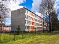 Kalininsky district, school of art Средняя общеобразовательная школа №119, Timurovskaya st, house 8 к.2
