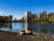 Kalininsky district,  , 