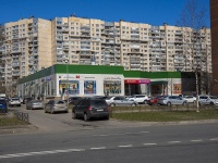 Krasnogvardeisky district, avenue Udarnikov, house 34. shopping center