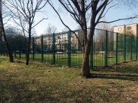 Moskowsky district, avenue Kosmonavtov. sports ground