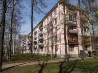 Moskowsky district, Blagodatnaya st, 房屋 17. 公寓楼