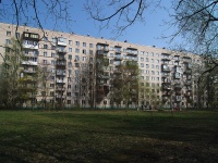 Moskowsky district,  , house 17. Apartment house