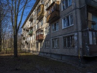 Nevsky district, Aleksandrovskoj fermi avenue, 房屋 3 к.2. 公寓楼
