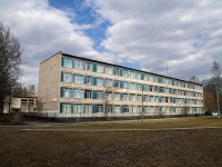 Nevsky district, avenue Bolshevikov, house 23. school
