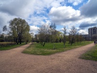 Невский район, парк 