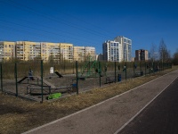 Nevsky district, st Novoselov. dog walking place