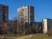 Nevsky district,  Shotman, house 3. Apartment house