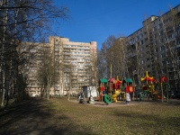 Nevsky district, Shotman , house 11. Apartment house