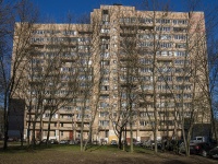 Nevsky district, Shotman , house 11. Apartment house