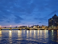 Petrogradsky district, 桥 