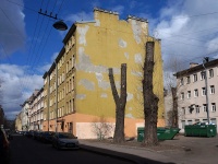 Петроградский район, улица Полозова, дом 11. многоквартирный дом