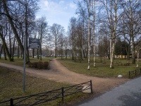 Primorsky district, avenue Primorsky. public garden