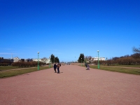 Central district, square Марсово полеDvortsovaya embankment, square Марсово поле
