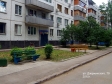 Тольятти, ул. Дзержинского, 79: приподъездная территория дома