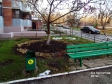 Тольятти, б-р. Курчатова, 6А: площадка для отдыха возле дома
