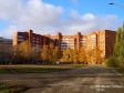Тольятти, ул. 40 лет Победы, 126: спортивная площадка возле дома