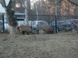 Екатеринбург, ул. Латвийская, 17: площадка для отдыха возле дома