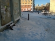 Екатеринбург, пер. Многостаночников, 15А: спортивная площадка возле дома